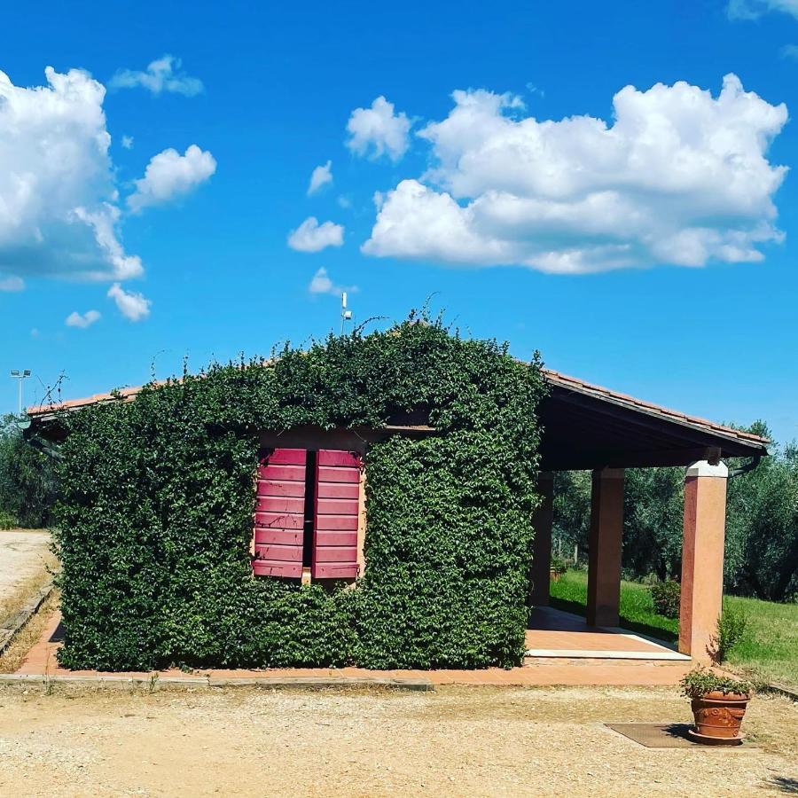 Tenuta Agricola Fraschiera Villa Massa Marittima Ngoại thất bức ảnh