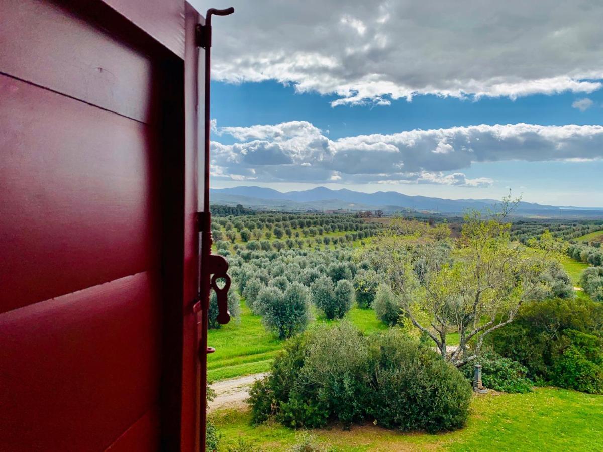 Tenuta Agricola Fraschiera Villa Massa Marittima Ngoại thất bức ảnh