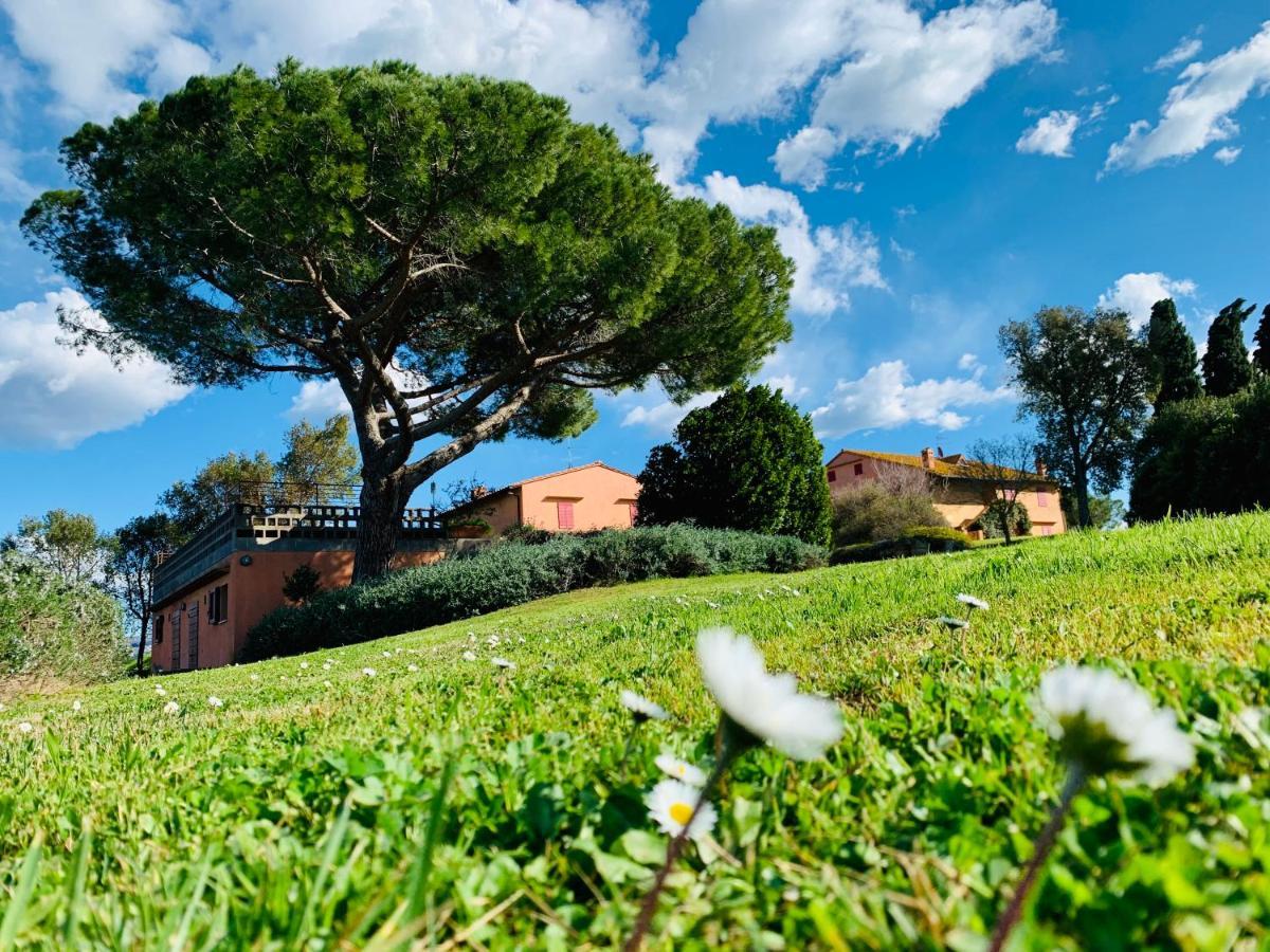 Tenuta Agricola Fraschiera Villa Massa Marittima Ngoại thất bức ảnh
