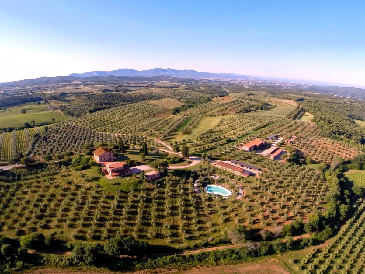 Tenuta Agricola Fraschiera Villa Massa Marittima Ngoại thất bức ảnh