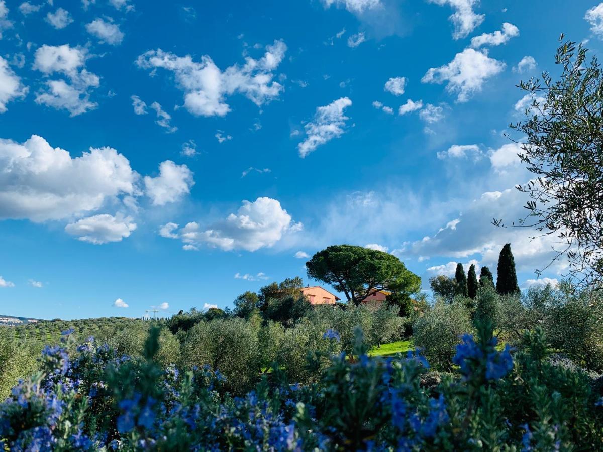 Tenuta Agricola Fraschiera Villa Massa Marittima Ngoại thất bức ảnh
