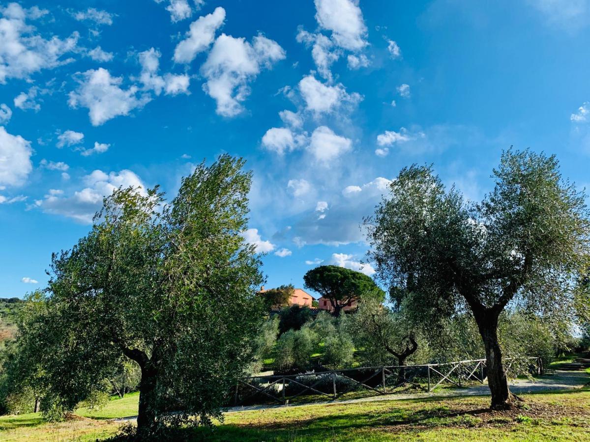 Tenuta Agricola Fraschiera Villa Massa Marittima Ngoại thất bức ảnh