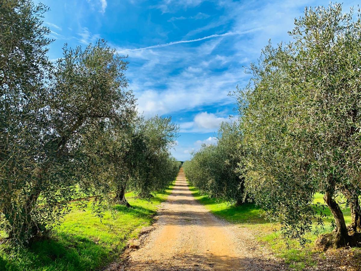Tenuta Agricola Fraschiera Villa Massa Marittima Ngoại thất bức ảnh
