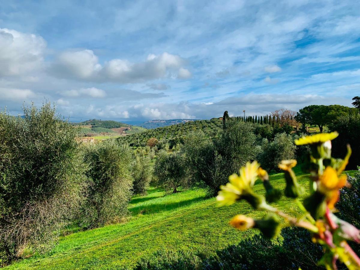 Tenuta Agricola Fraschiera Villa Massa Marittima Ngoại thất bức ảnh