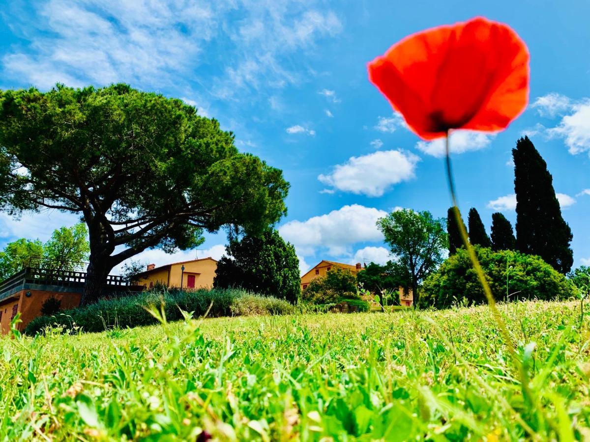 Tenuta Agricola Fraschiera Villa Massa Marittima Ngoại thất bức ảnh